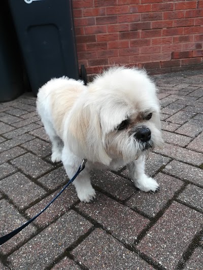 Furtastic Pets Mobile Grooming