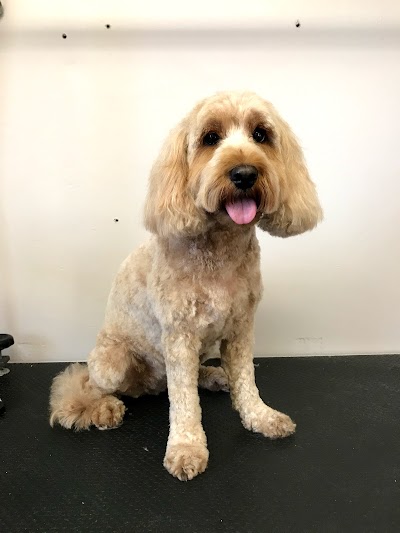 Grooming Van Image