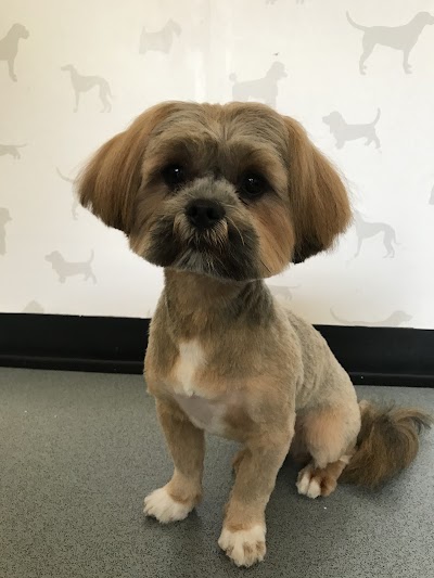 Grooming Van Image