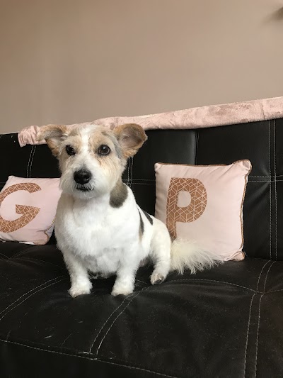 Grooming Van Image