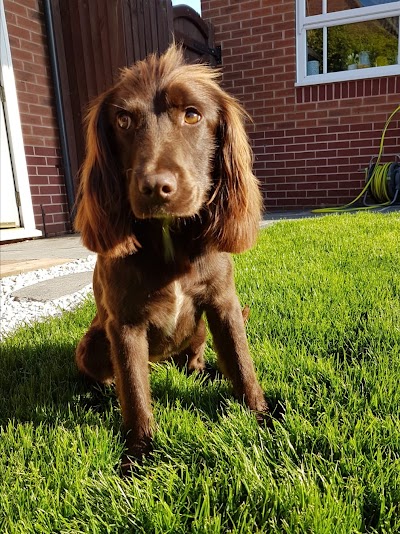 Grooming Van Image