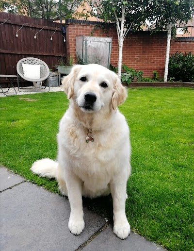 Grooming Van Image