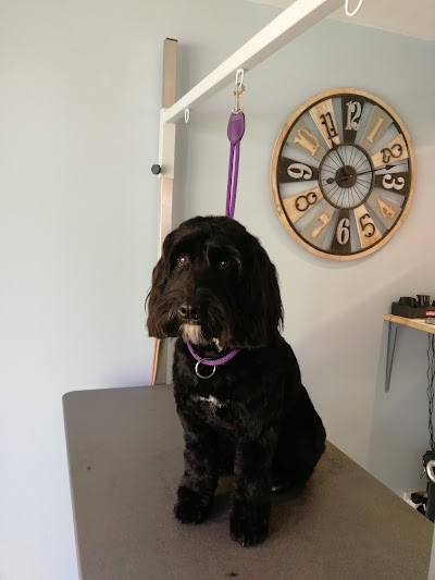 Grooming Van Image