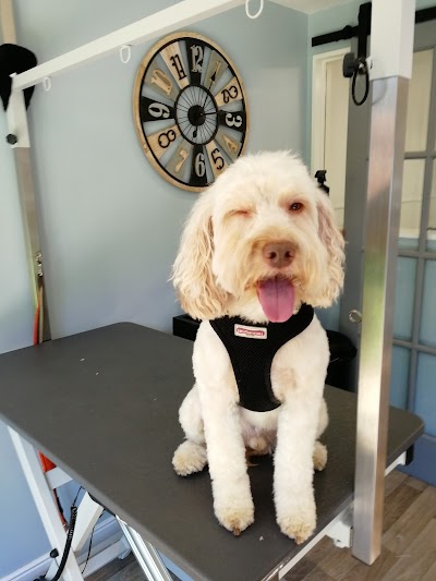 Gracie's Grooming - Dog groomers, Mansfield