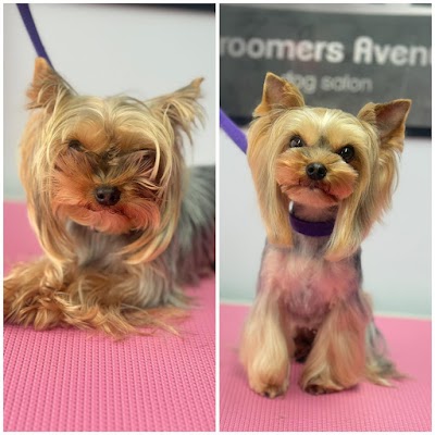 Grooming Van Image