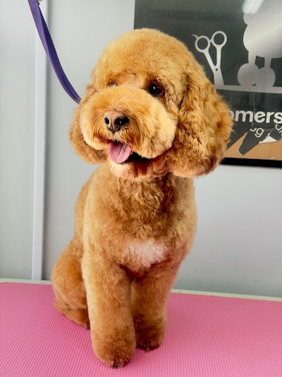 Grooming Van Image