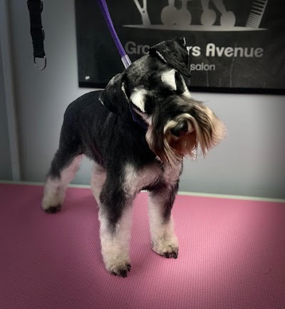 Grooming Van Image