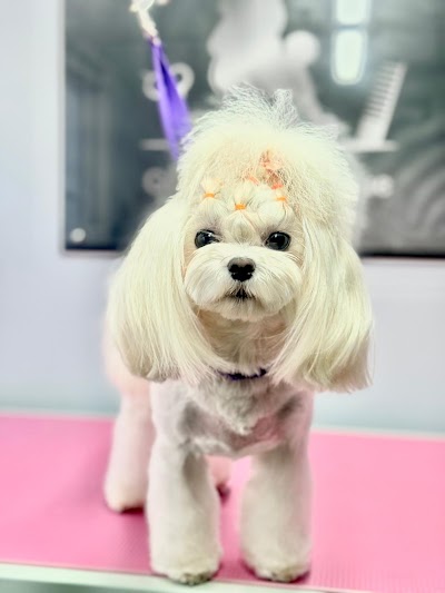 Grooming Van Image