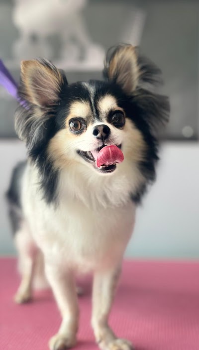 Grooming Van Image