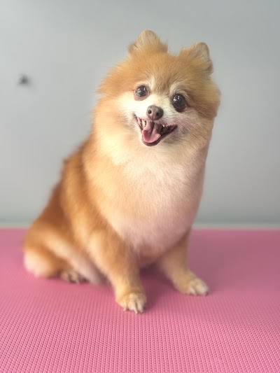 Grooming Van Image