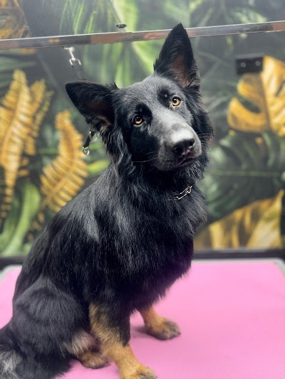 Grooming Van Image