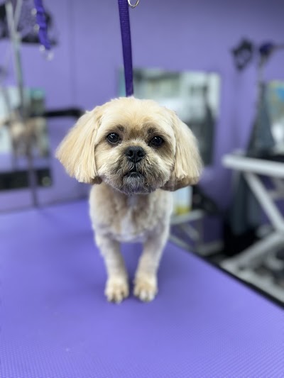 Grooming Van Image