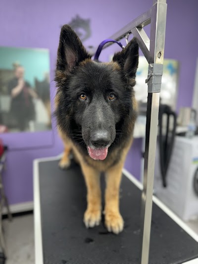 Grooming Van Image