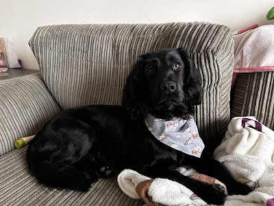 Grooming Van Image