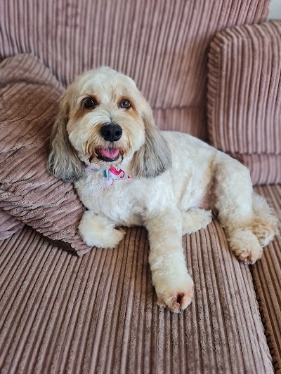 Grooming Van Image