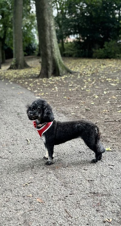 Grooming Van Image