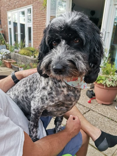 Grooming Van Image