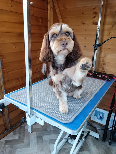 Holly's House Dog Grooming - Lincoln