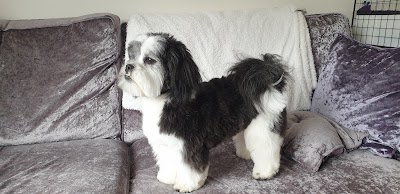 Grooming Van Image