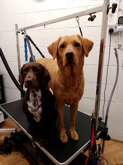Jo's Pet Grooming & Holistic Therapies