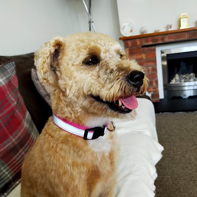 Grooming Van Image