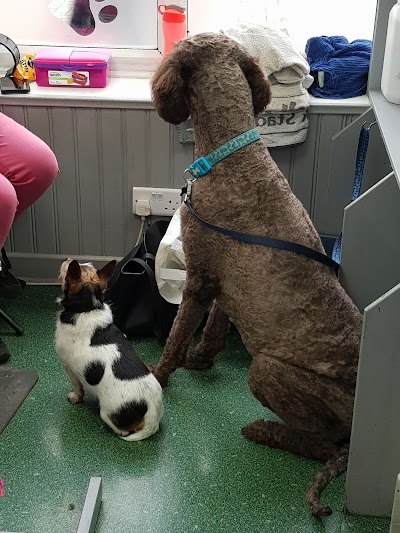 Grooming Van Image