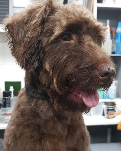 Grooming Van Image