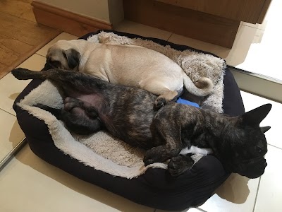 Grooming Van Image