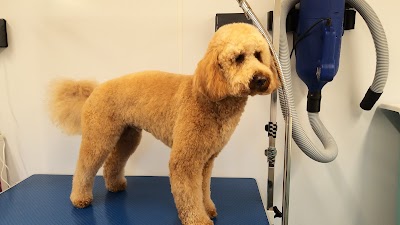 Grooming Van Image