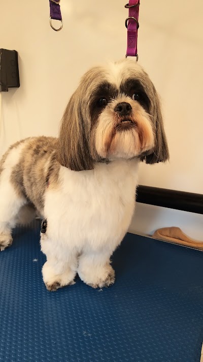 Grooming Van Image