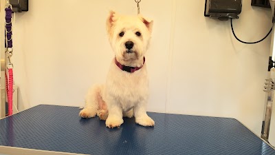 Grooming Van Image