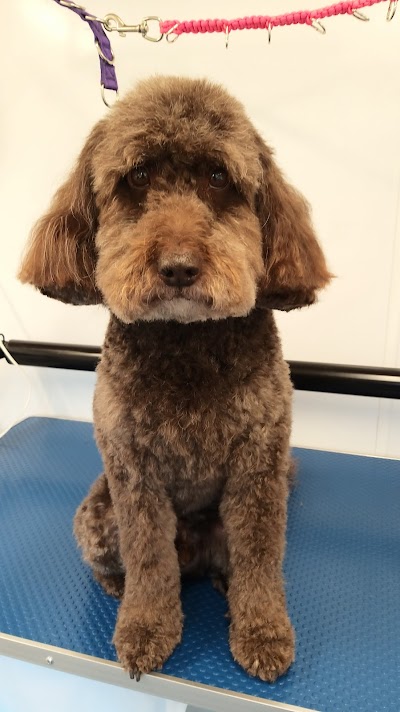 Grooming Van Image