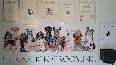 Lick n Slick Dog Grooming