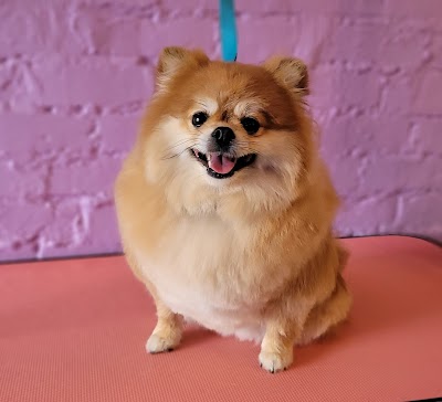 Grooming Van Image