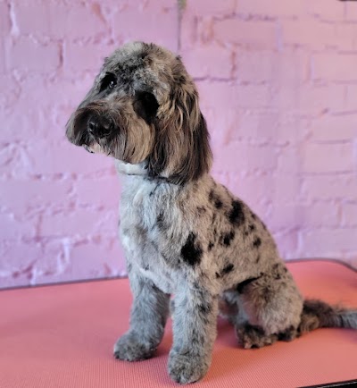 Grooming Van Image