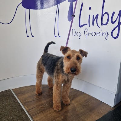 Grooming Van Image