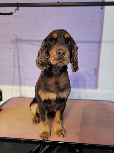 Grooming Van Image