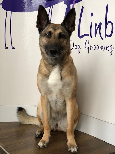 Grooming Van Image