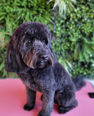 Grooming Van Image