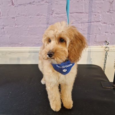Grooming Van Image