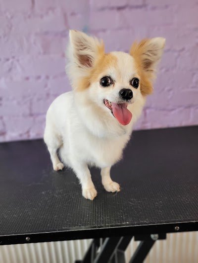 Grooming Van Image