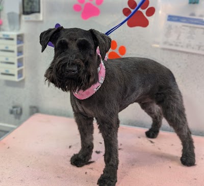 Grooming Van Image