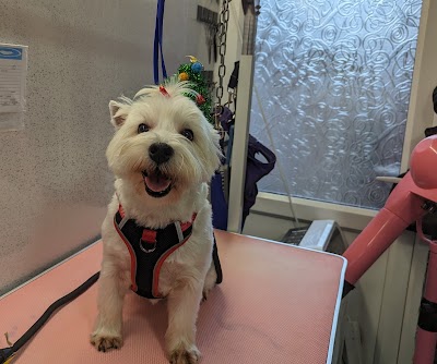Grooming Van Image