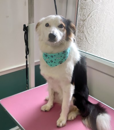 Grooming Van Image