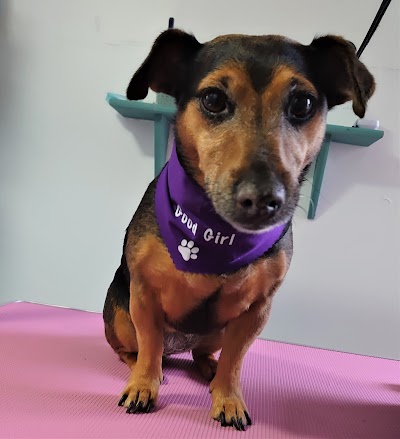 Grooming Van Image