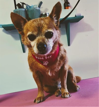 Grooming Van Image