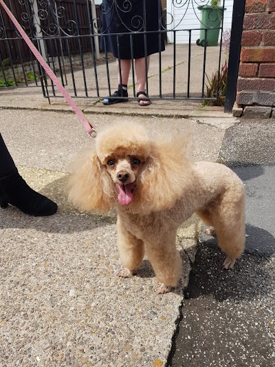 Miss Diane Dog Groomers