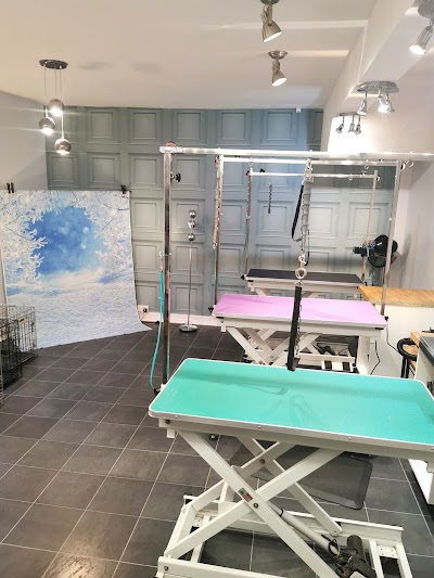 Grooming Van Image