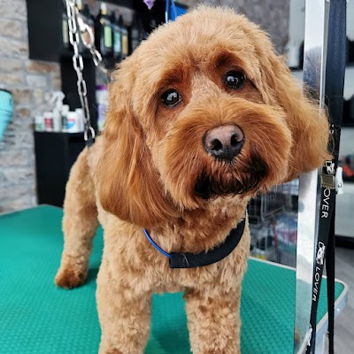 Grooming Van Image