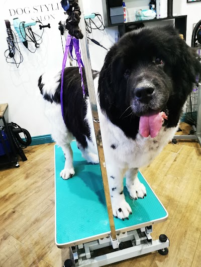 Grooming Van Image